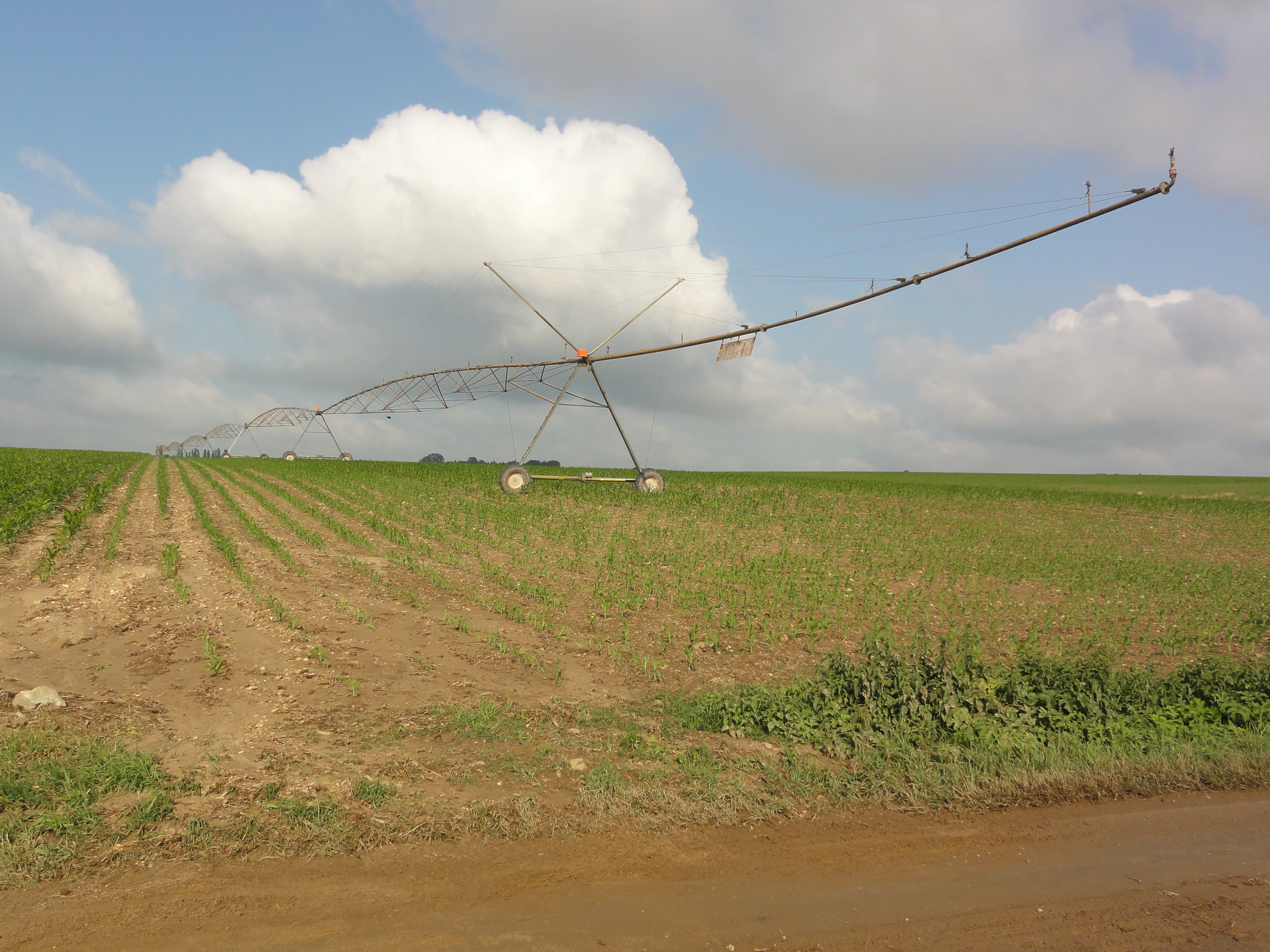 Pivô avançando sobre lavoura em linhas